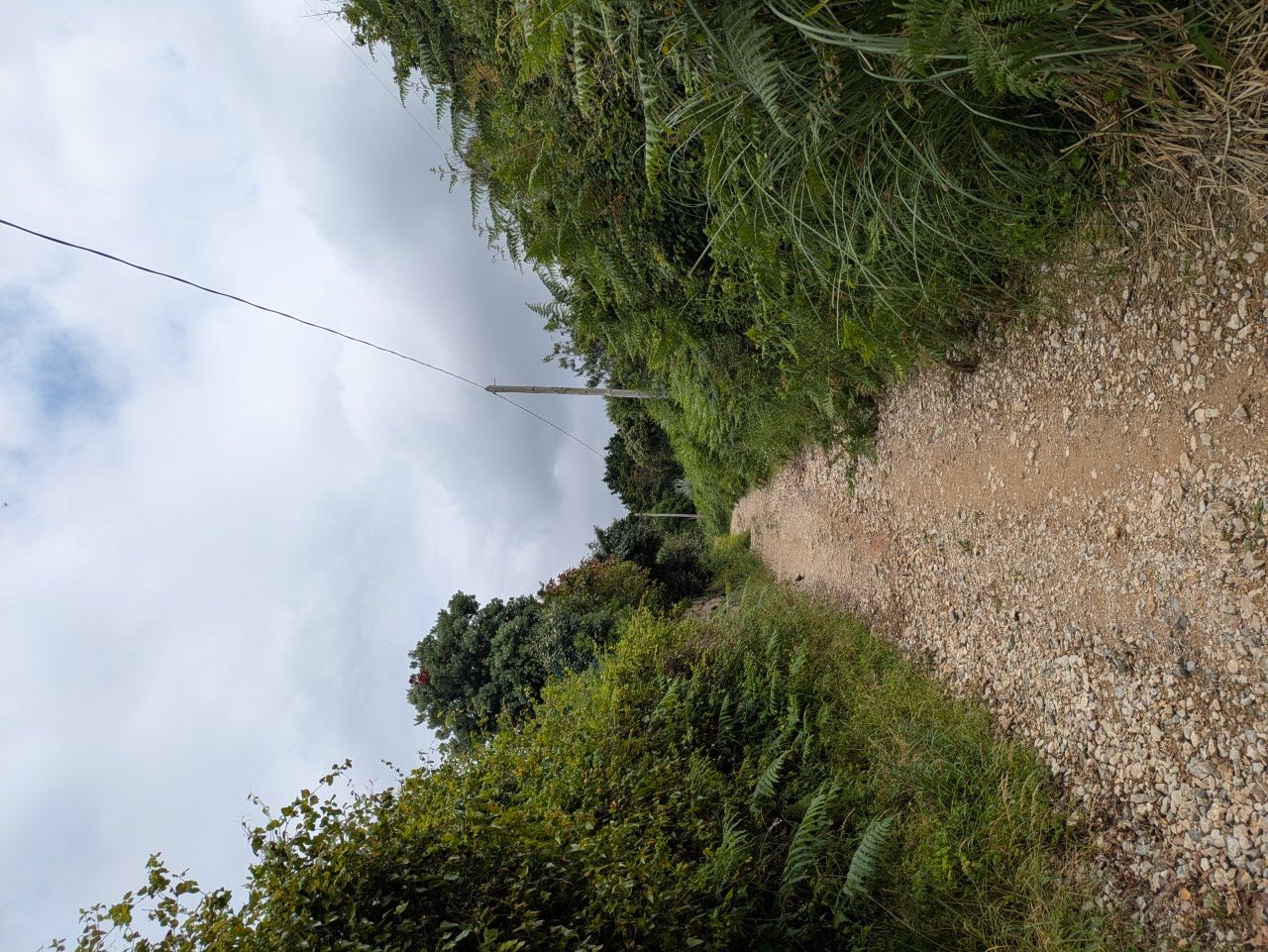 21-ein Stück auf dem Camino zurück zum Camp